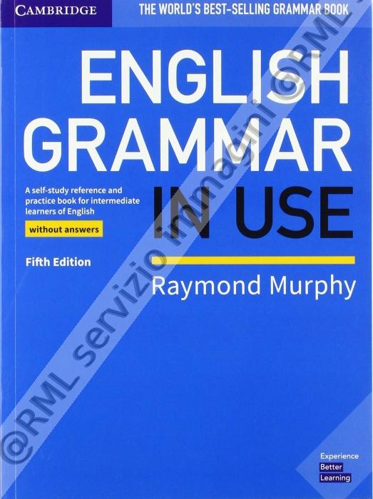 english grammar in use blu...