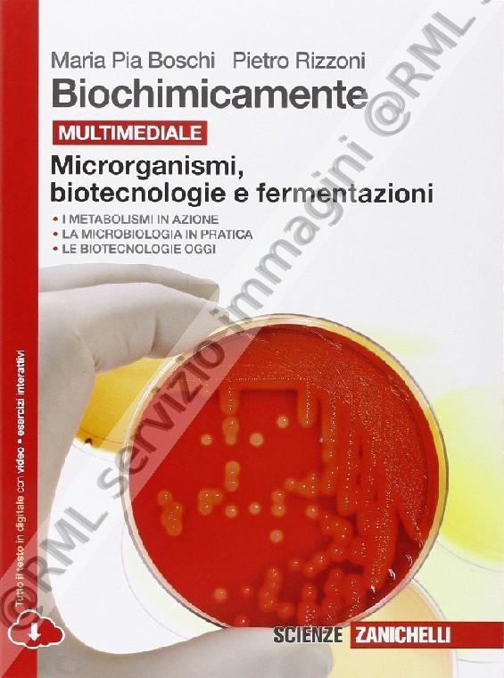 biochimicamente, microrganismi