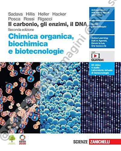 carbonio gli enzimi il dna...