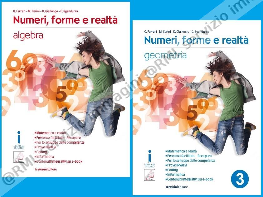 numeri forme e realta,...